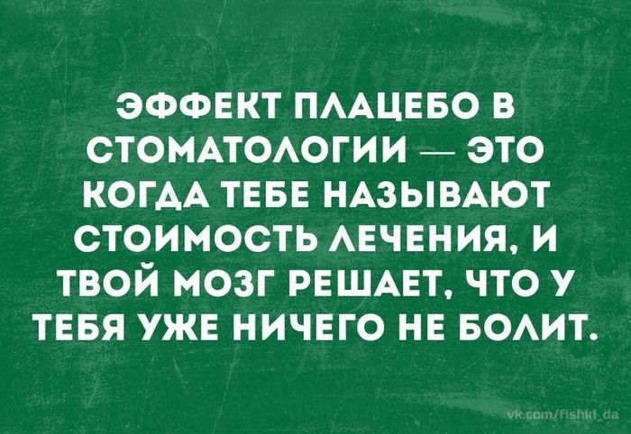 13558505.jpg