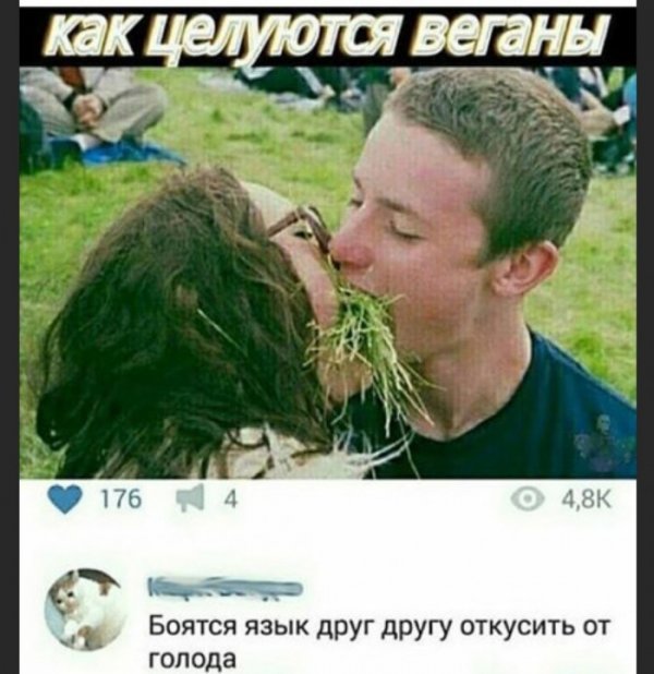 Бредзона 07.02.2020