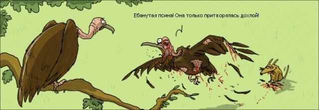 На злобу дня