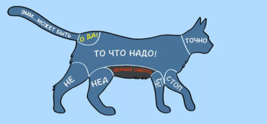 Эволюция