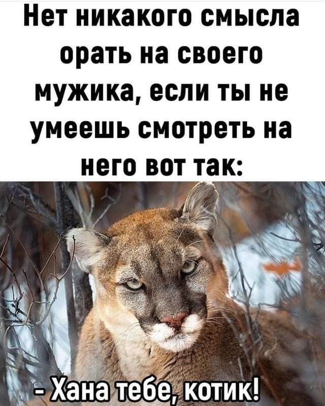 Так себе картинки 15.09.22
