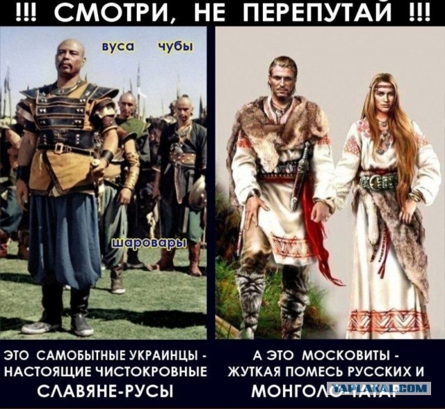 Русской нации нет и вообще русский язык это диалект