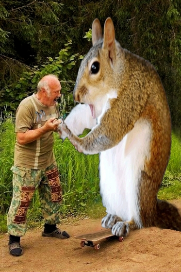 Фотожаба "Белка экстрасен"