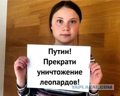 Видео уничтоженных Леопарда и Бредли
