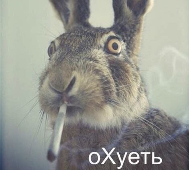 Россельхознадзор обнаружил свинец и мышьяк в рисе с полей у кубанской свалки