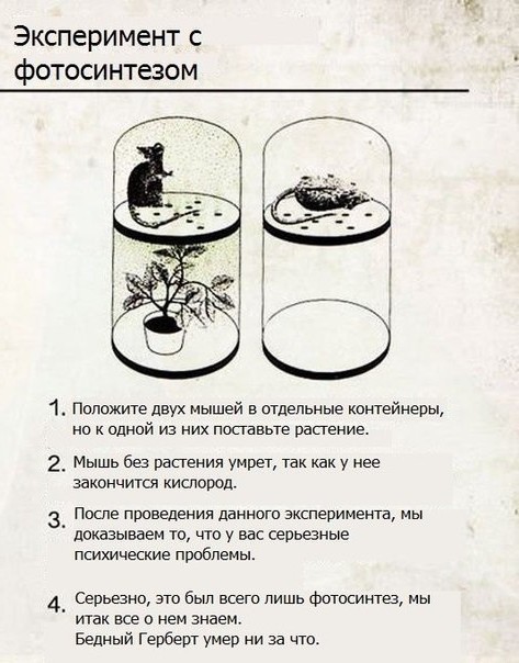 Немного лёгкой *банцы, наркомании и деградации в ленту 3