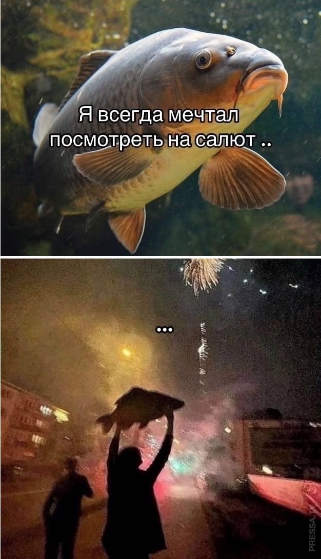 Всего понемногу. От 30.09.24