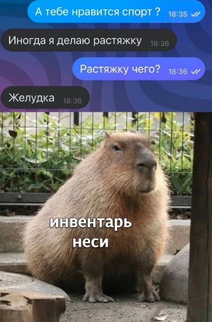 Так себе картинки 31.05.25