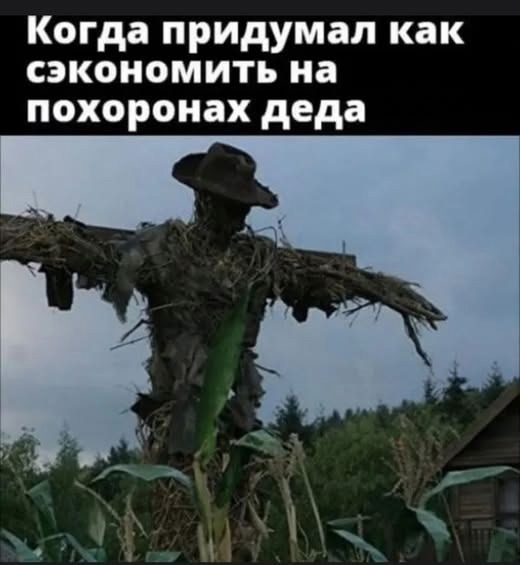 Веселые картинки в пятницу (18.02)