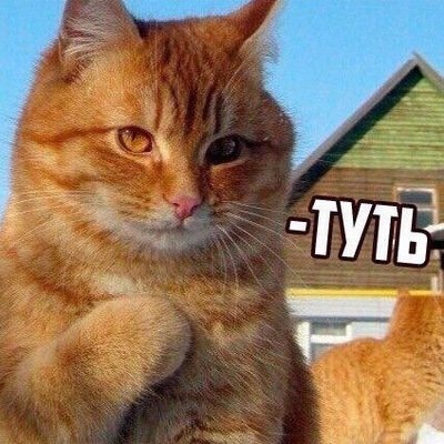 Небаянистая деградация 8