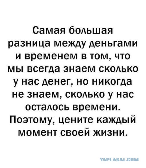 Картиночки, баянчики 08 декабря