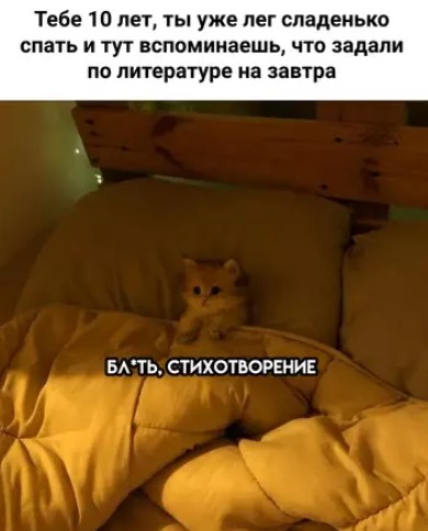 Картиночки, баянчики 19 марта