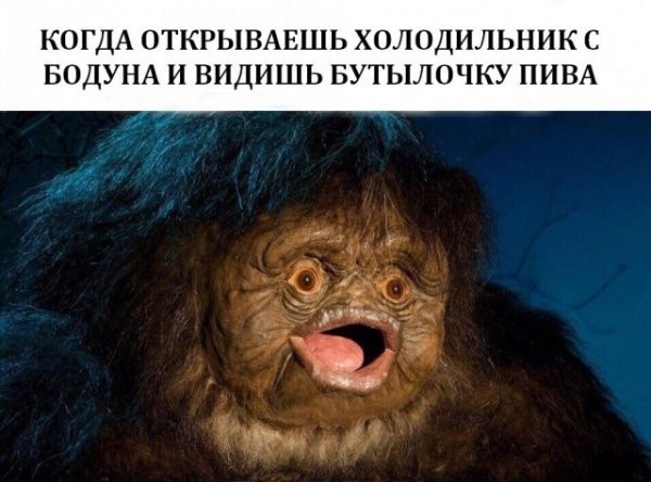 Подеградируем?!