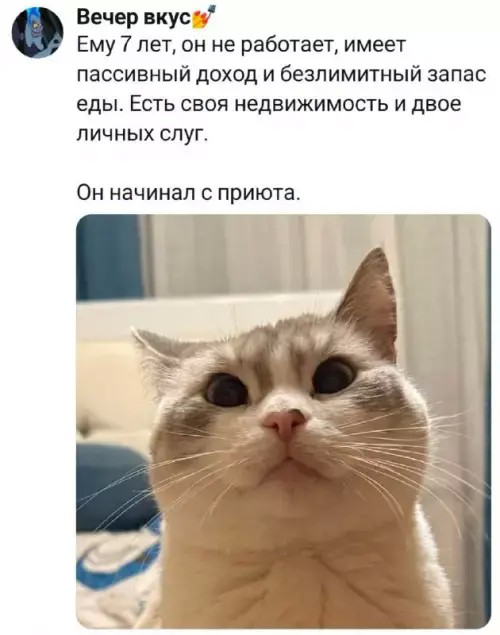 Картинки для деградации 210 (разной степени свежести)