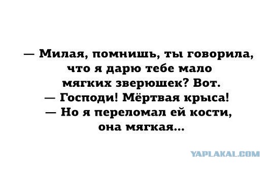 Картинки из закромов памяти