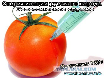 В России разрешили сеять ГМО-зерновые