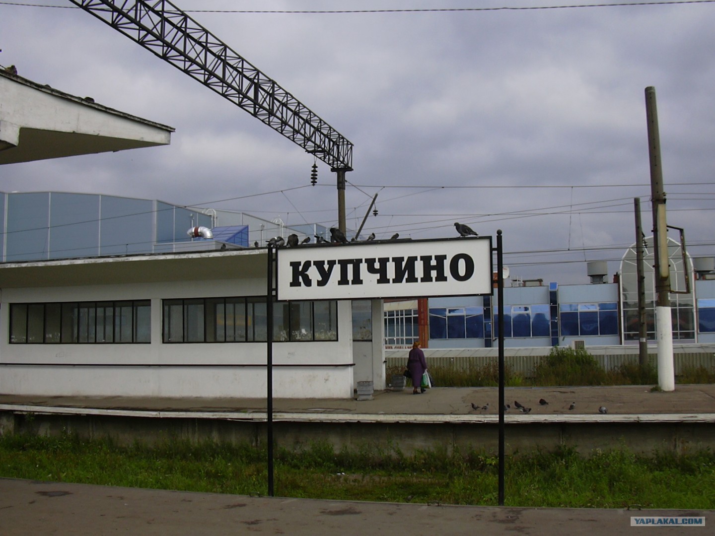 Вокзал. Эд4м 411. Железнодорожная станция купчино. Электричка купчино 40км. Кобралово-витебский электричка.