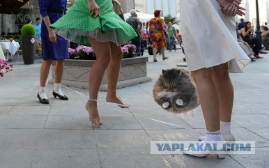 Ну очень жабельно