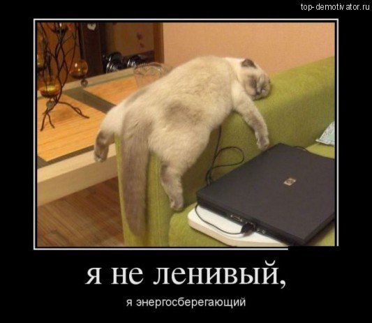 Немного братьев наших меньших! ЧЕТВЕРГ