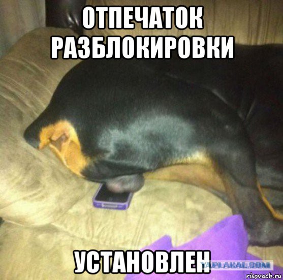 Подборка картинок 21.02.16