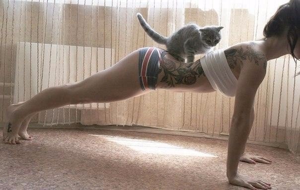 Подборка картинок 01.03.16