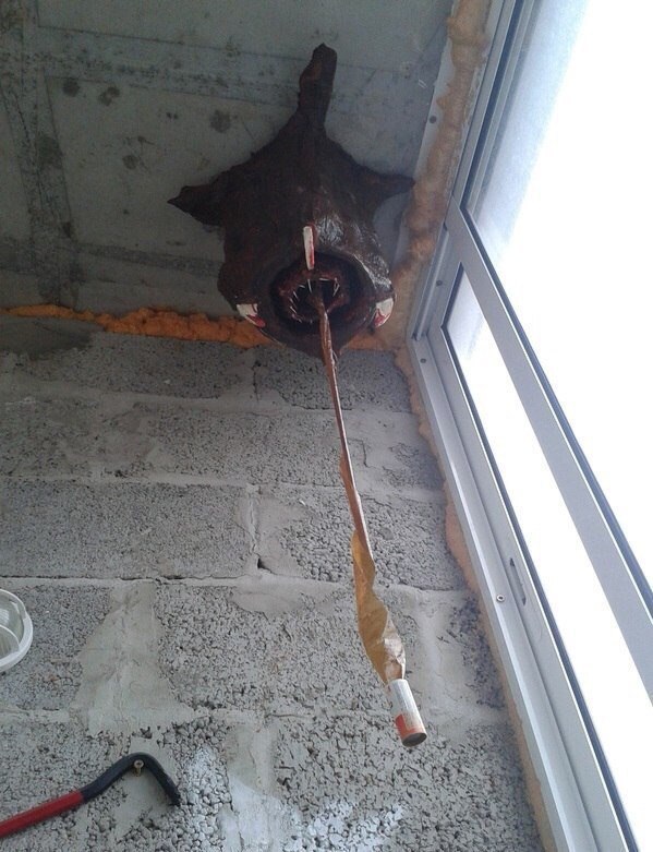 Подборка интересных и веселых картинок