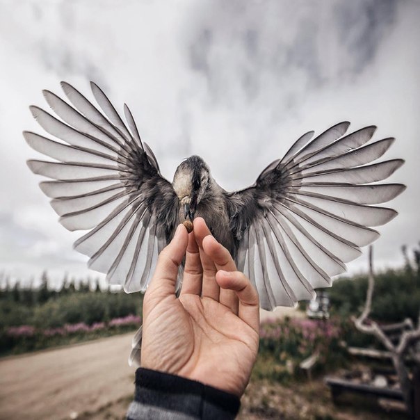 Интересные и веселые картинки