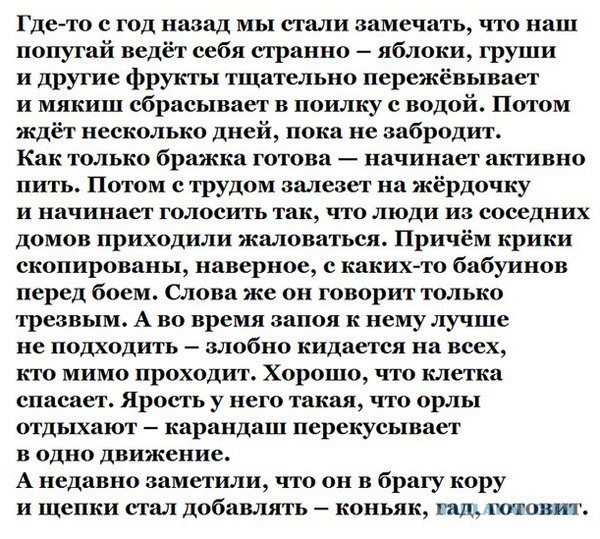 Ужасы и приколы из соцсетей 18+