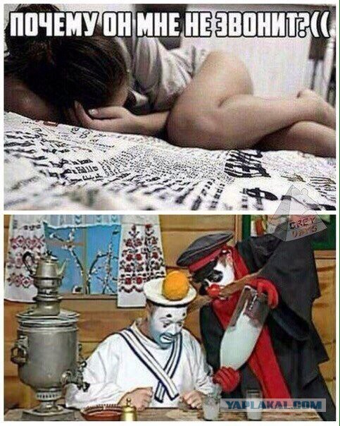 Смешные комментарии из социальных сетей 16.09.2016