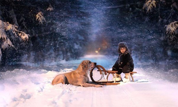 Самые смешные животные
