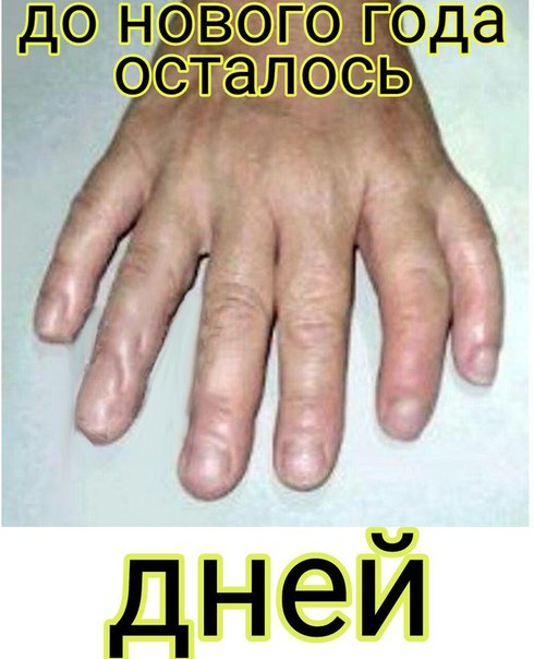 Порция абсурдного юмора на следующую неделю