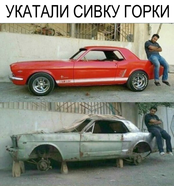 Приколы в картинках или прикольные картинки?