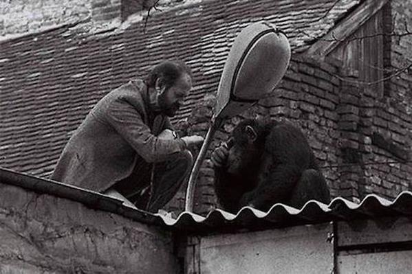 История в фотографиях