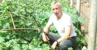 Неожиданно в туалете