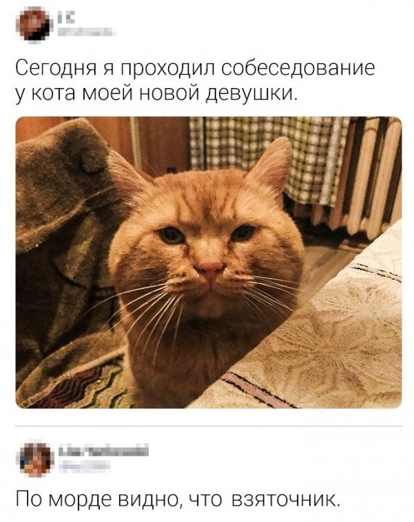 Нестандартный юмор