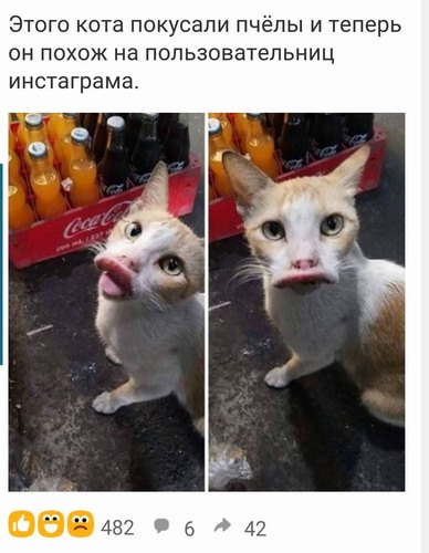 Среда... Однако, здравствуйте!