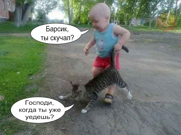 Немного картинок для настроения
