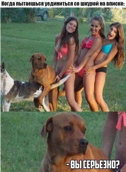 Ушёл за холодцом