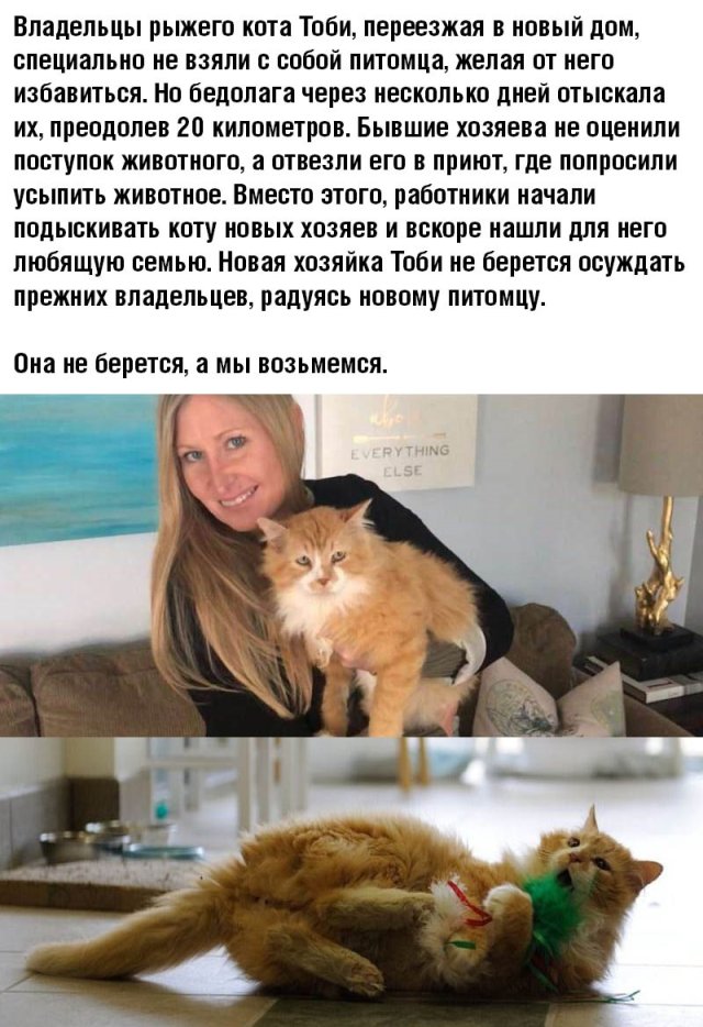 Пара-пара-пам! Фьють!