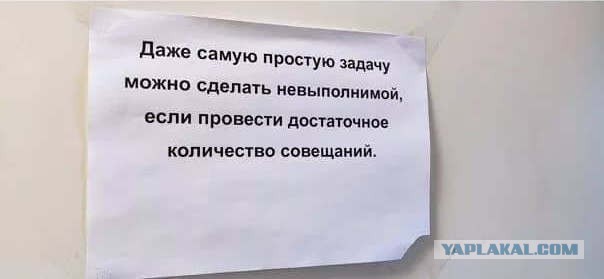 Бредзона 26.01.21