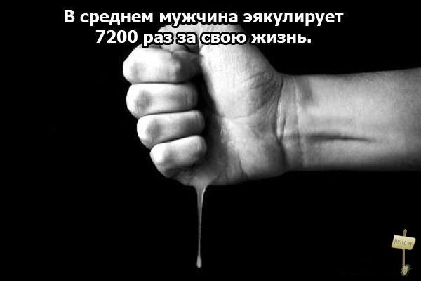 Картинки, чёрный юмор