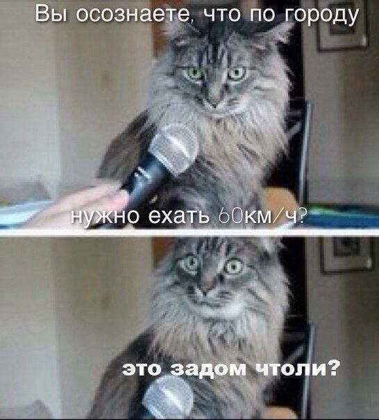 Баянисто-небаянистый юмор. 28.04.21