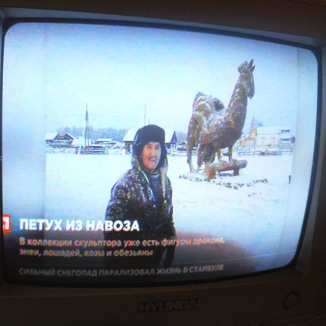 Скотсети и прочие интернеты 28.05.2021