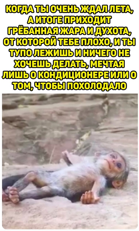 Весёлый полтишок 8.06.21