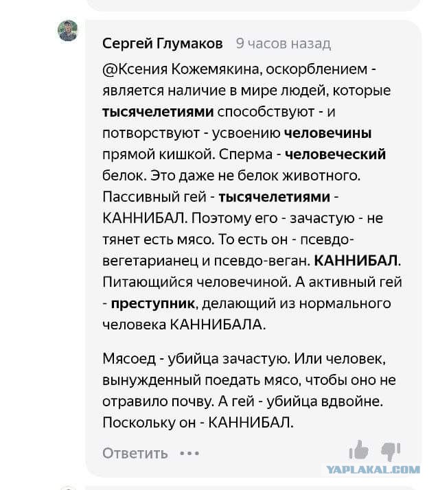 Что является оскорблением личности. Что является оскорблением. человечена или человечина.