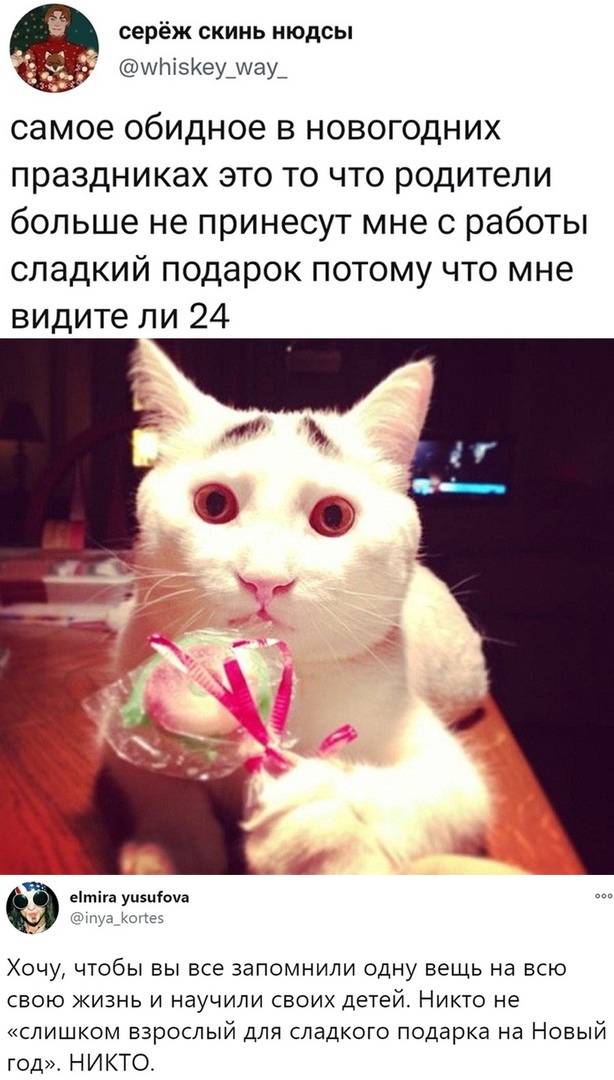 Так себе картинки 12.12.21