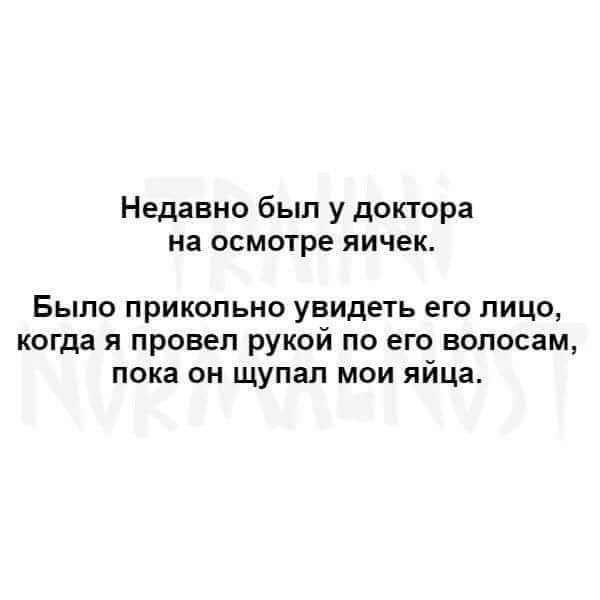 Весёлый полтишок 10.01