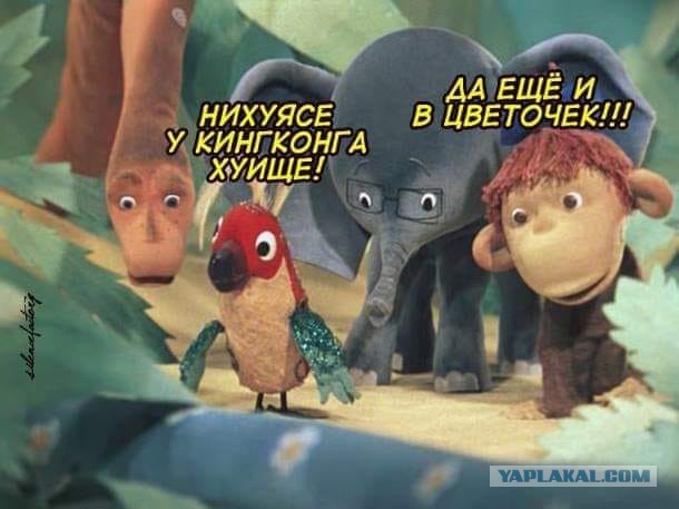 Вы все извращенцы
