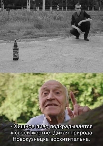 Картинки и мемы. Выходные близко, близко...