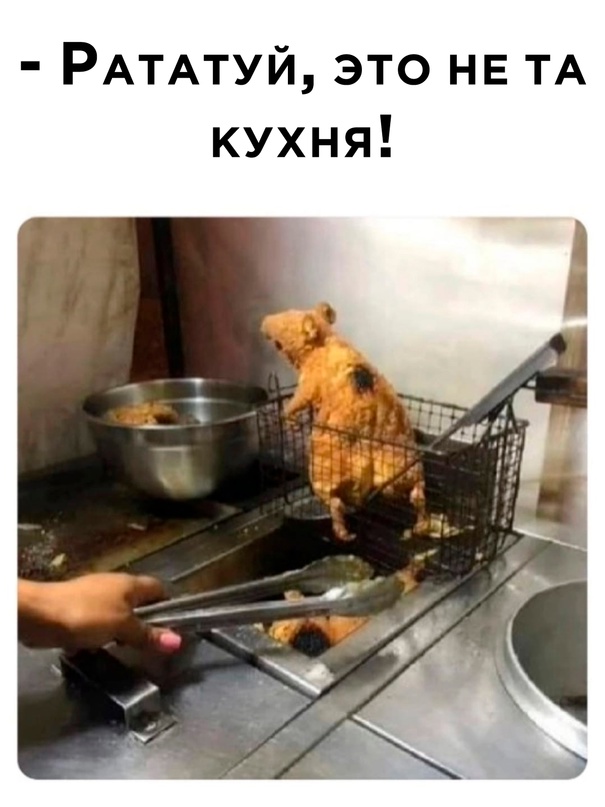 Картинки и мемы для настроения - 23